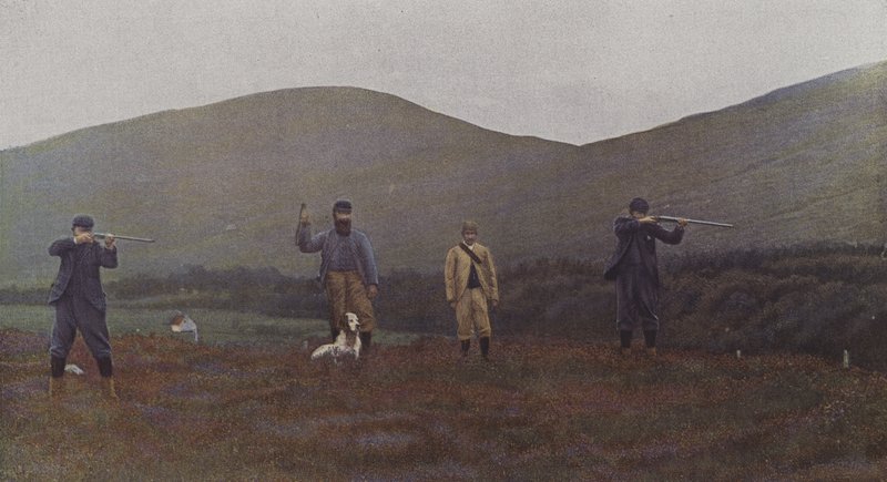 Chasse au tétras en Écosse - French Photographer