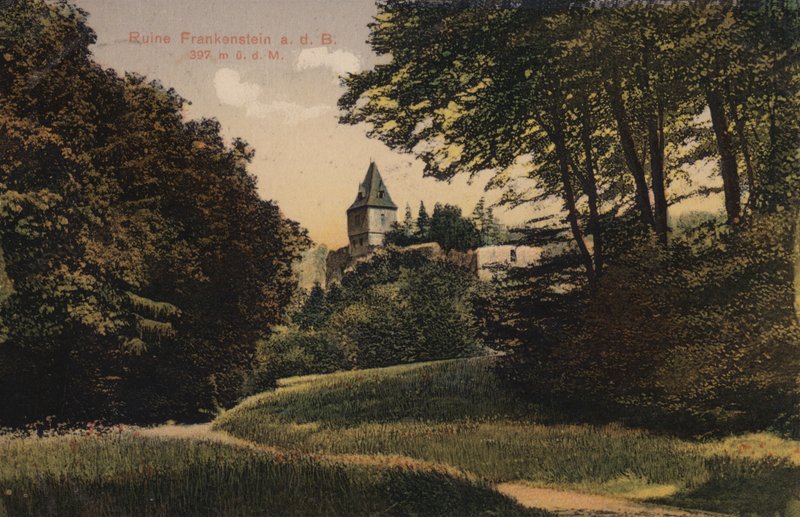 Ruine Frankenstein - French Photographer