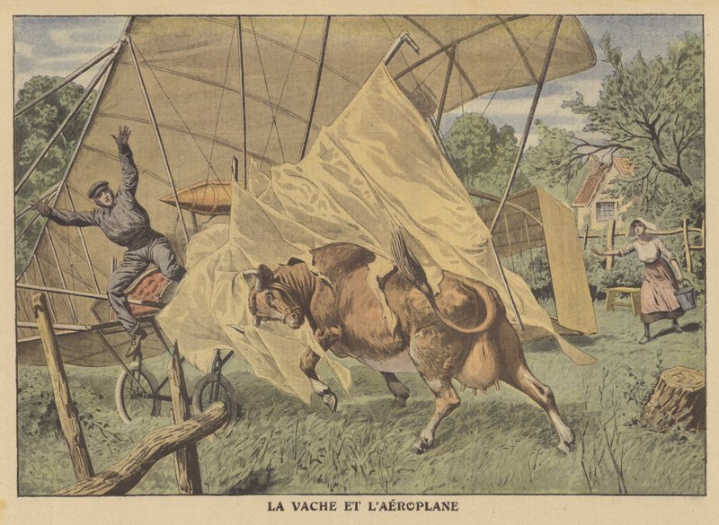Une vache attaquant un avion dans le Midwest américain - French School