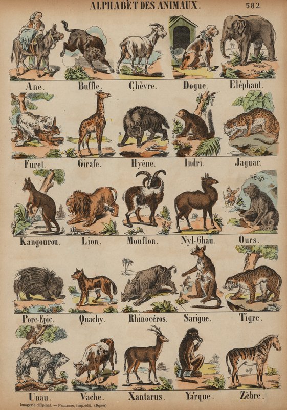 De A à Z des animaux - French School