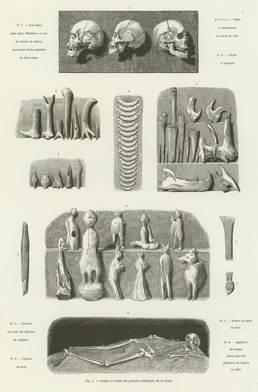 Armes et outils des premiers habitants de la Gaule - French School