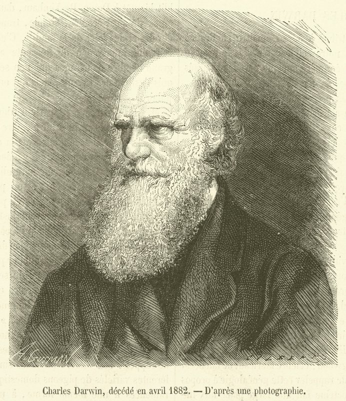 Charles Darwin, décédé en avril 1882 - French School