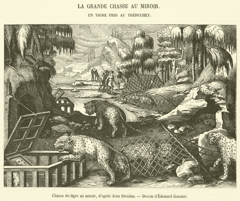 Chasse du tigre au miroir - French School