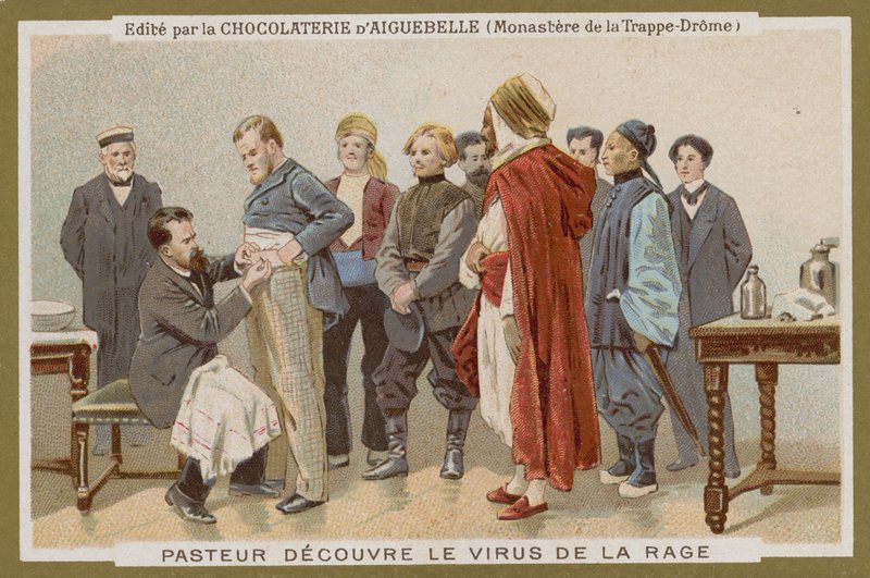 Carte de commerce Chocolat d
