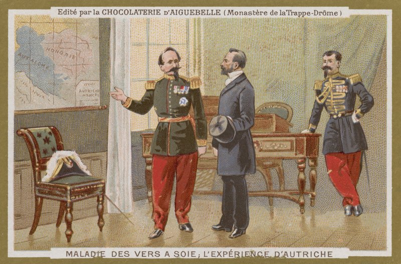 Carte de commerce Chocolat d