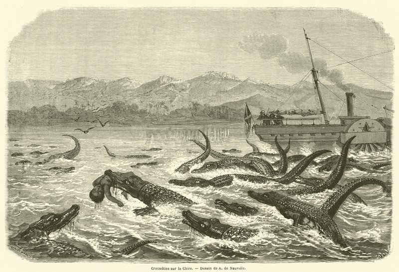 Crocodiles sur le Chire - French School