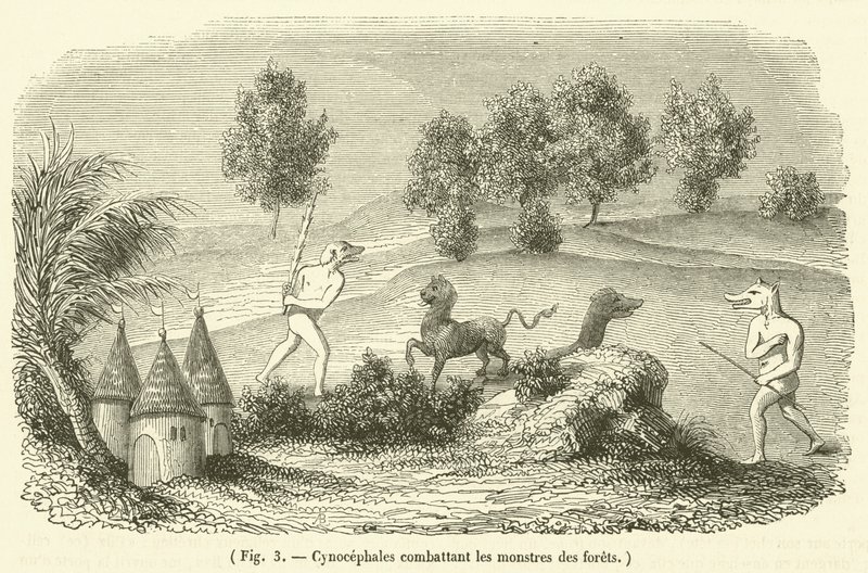 Cynocéphales combattant les monstres des forêts - French School