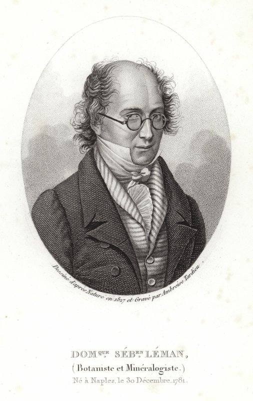 Dominique Sébastien Leman - French School
