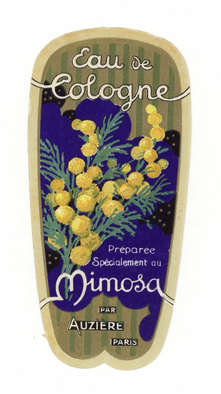 Étiquette Eau de Cologne, Mimosa - French School