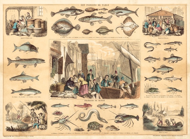 Poissons - French School