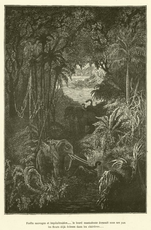 Forets sauvages et impenetrables..... le lourd mastodonte ecrasait sous ses pas les fleurs deja ecloses dans les clairieres - French School