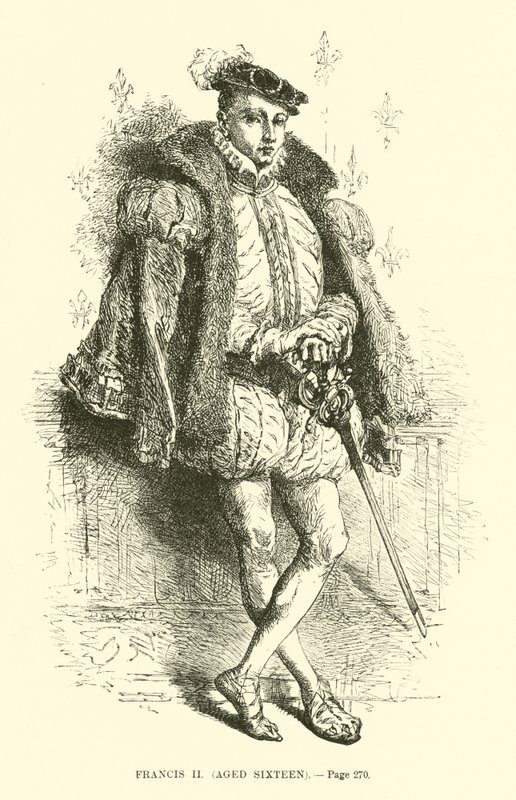 François II, âgé de seize ans - French School