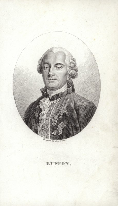 Georges-Louis Leclerc - French School