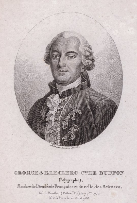 Georges-Louis Leclerc, Comte de Buffon, scientifique et écrivain français (gravure) - French School