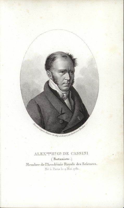 Henri Cassini - French School
