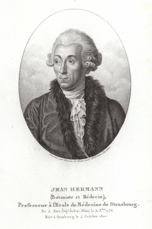 Jean Hermann - French School