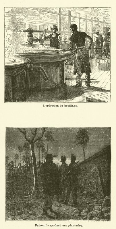 La Canne À Sucre - French School