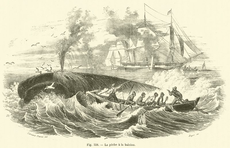 La pêche à la baleine - French School