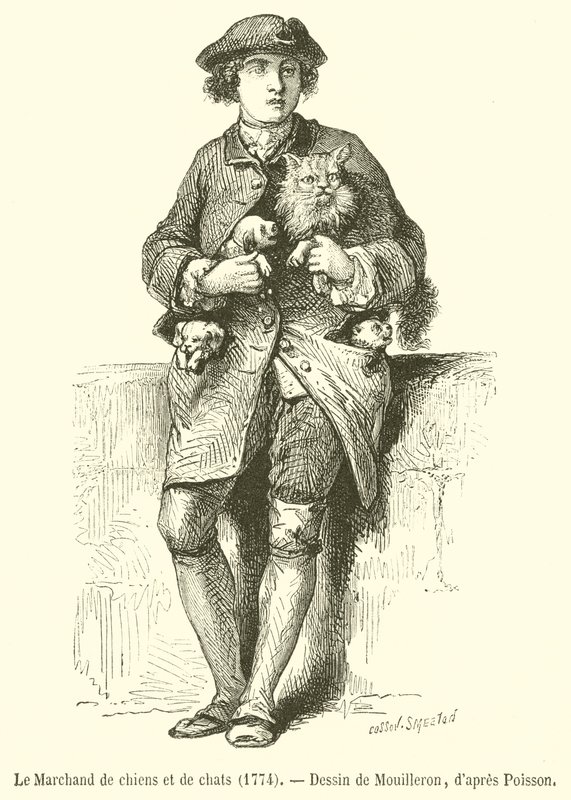 Le Marchand de chiens et de chats - French School