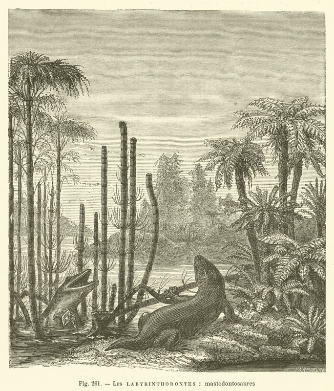 Les labyrinthodontes, mastodontosaures - French School