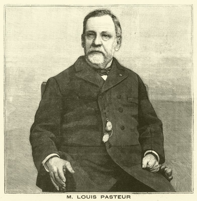 Louis Pasteur, microbiologiste français - French School