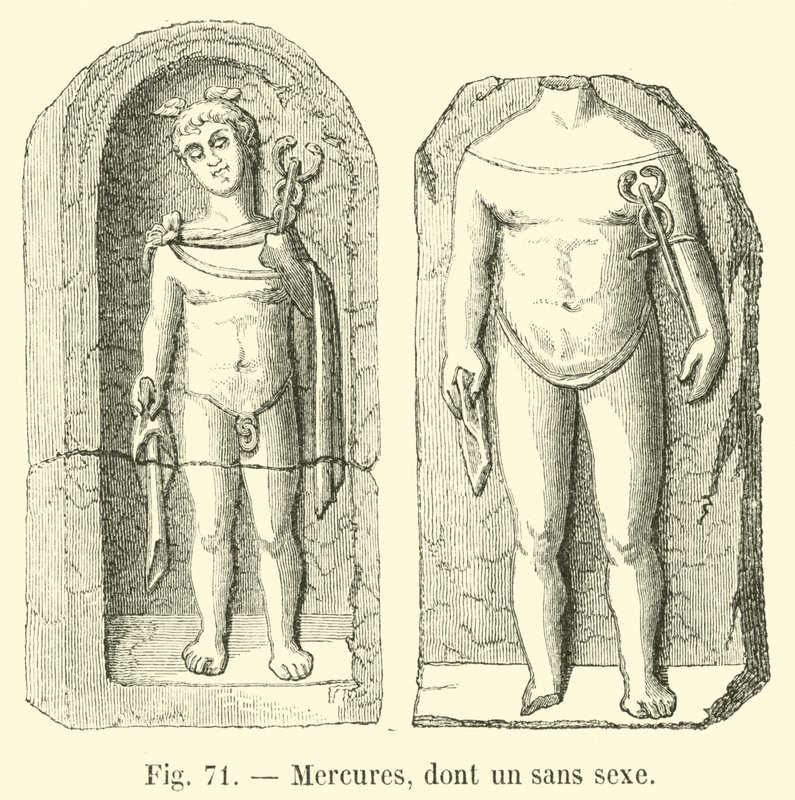 Mercures, dont un sans sexe - French School