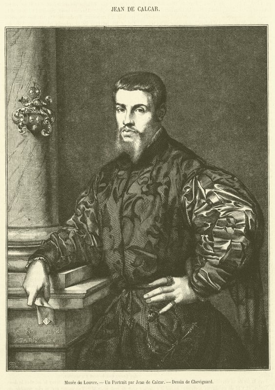 Musée du Louvre, Un Portrait par Jean de Calcar - French School