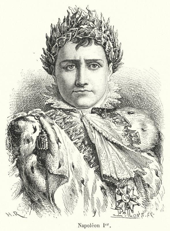 Napoléon Ier - French School