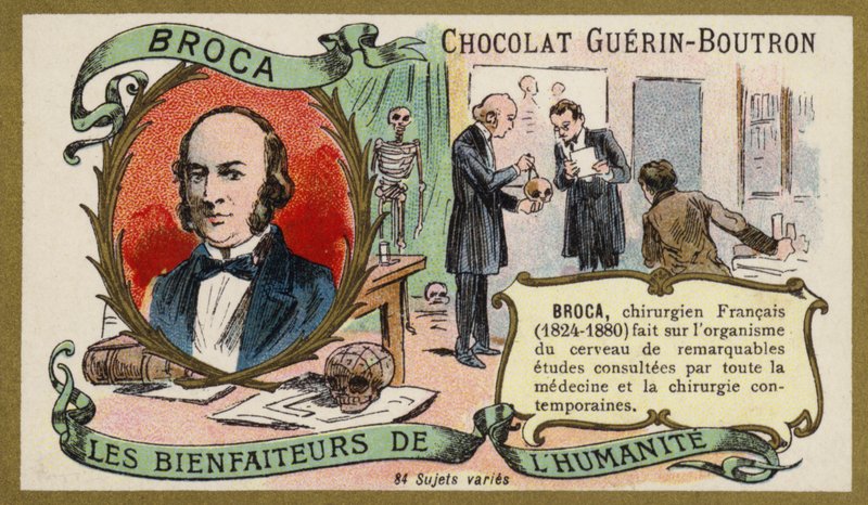 Paul Broca, médecin, anatomiste et anthropologue français - French School