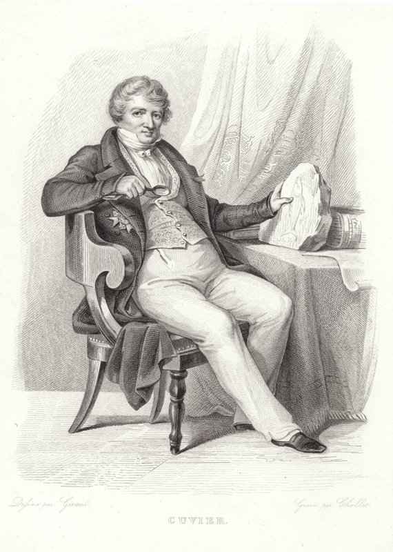 Portrait de Georges Cuvier - French School