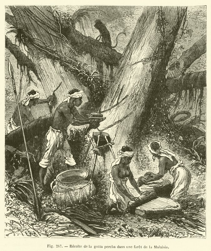 Recolte de la gutta percha dans une foret de la Malaisie - French School