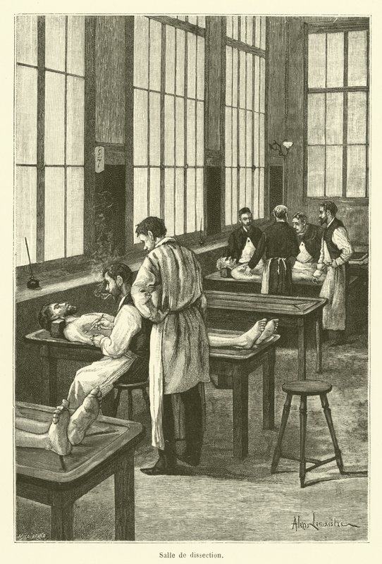 Salle de dissection (engraving) - French School