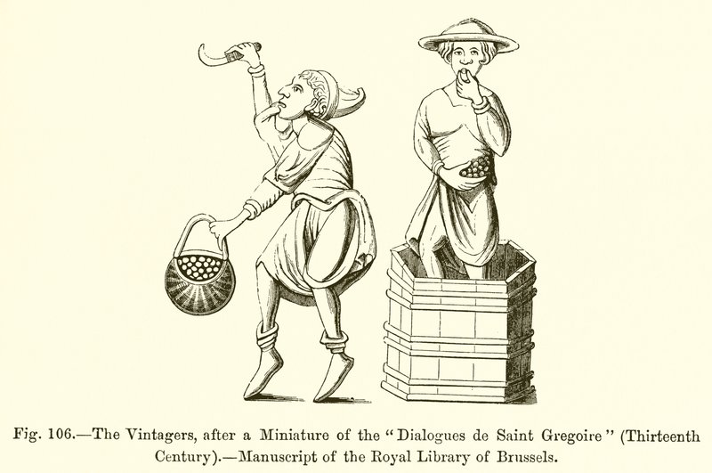 Les vendangeurs, d