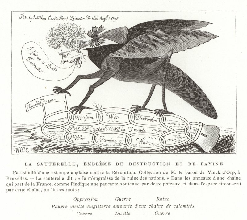 La sauterelle, emblème de la destruction et de la famine - French School