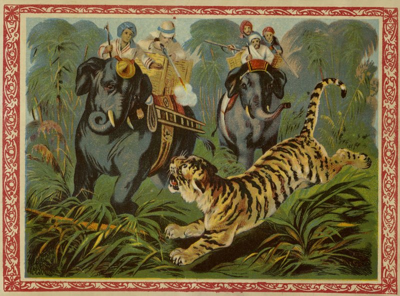 Chasse au tigre - French School