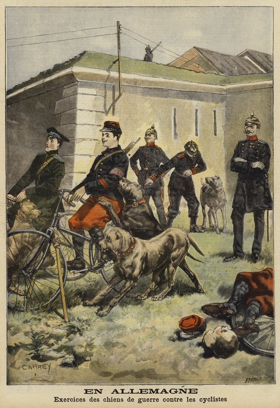 Entraînement des chiens de l