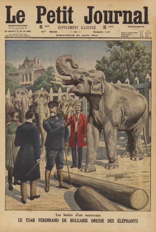 Le tsar Ferdinand Ier de Bulgarie dressant des éléphants - French School