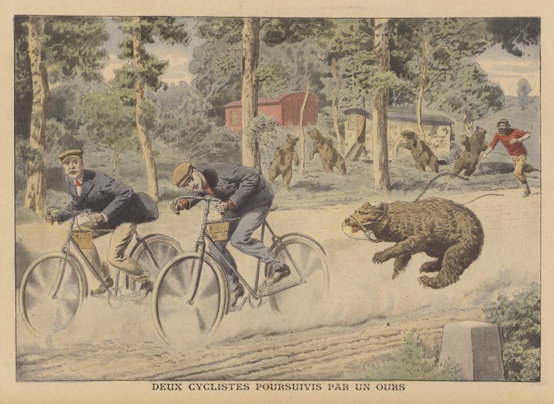 Deux cyclistes poursuivis par un ours échappé - French School