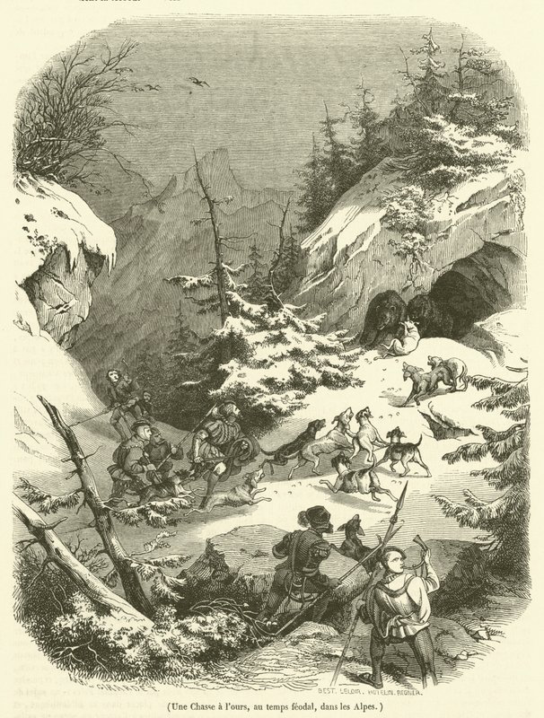 Une Chasse à l