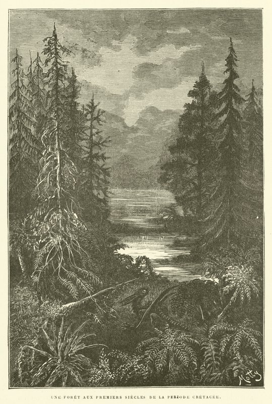 Une forêt aux premiers siècles de la période crétacée - French School