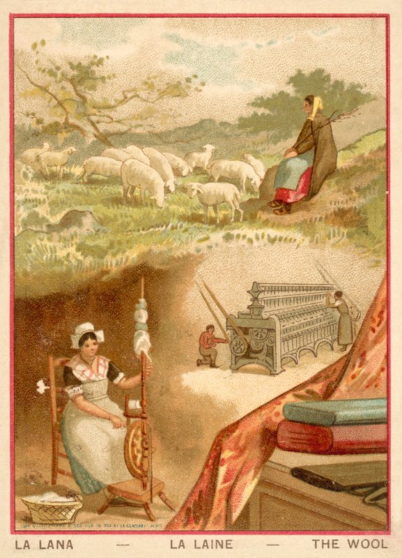 Laine (chromolithographie) - French School