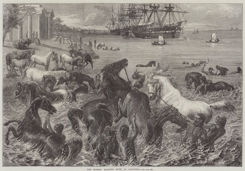 Le bain du matin des chevaux à Calcutta - Friedrich Wilhelm Keyl