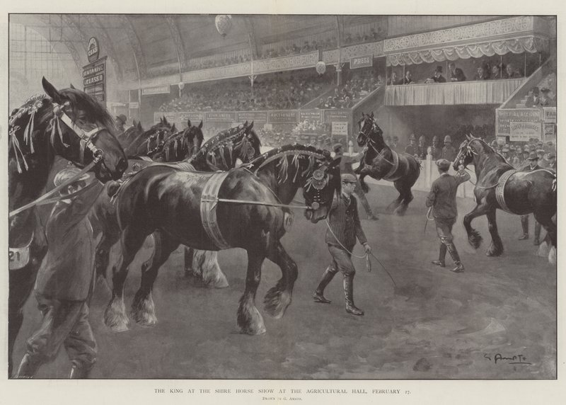 Le roi au salon des chevaux de trait à l