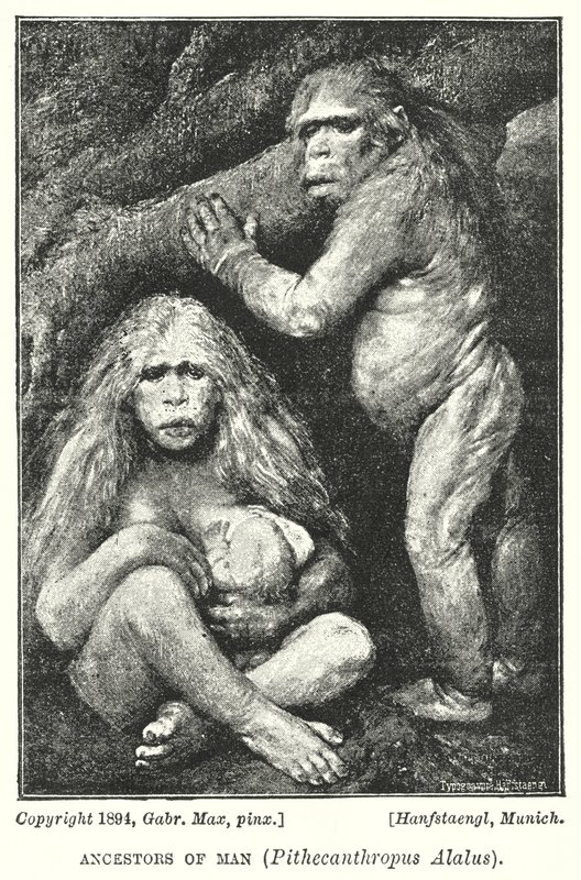 Ancêtres de l