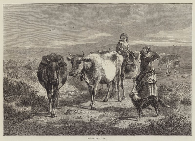 Matin sur les landes - George Bouverie Goddard