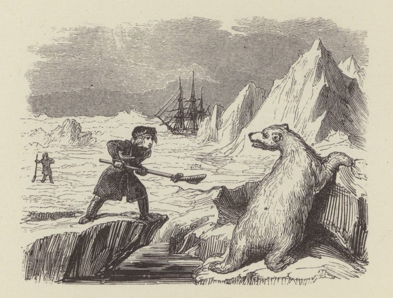 Le jeune Nelson tuant un ours polaire - George (after) Cruikshank