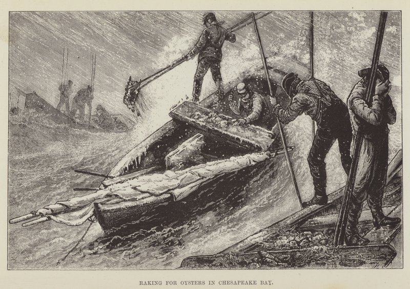 Ramassage des huîtres dans la baie de Chesapeake - George Augustus Sala