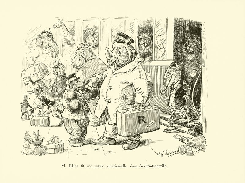 M Rhino fit une entree sensationnelle, dans Acclimatationville (litho) - George Henry Thompson