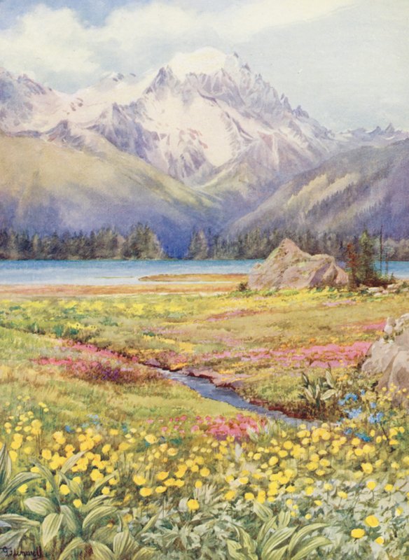 Les champs supérieurs de Champex début juin, avec le Grand Combin au loin - George Jackson Flemwell