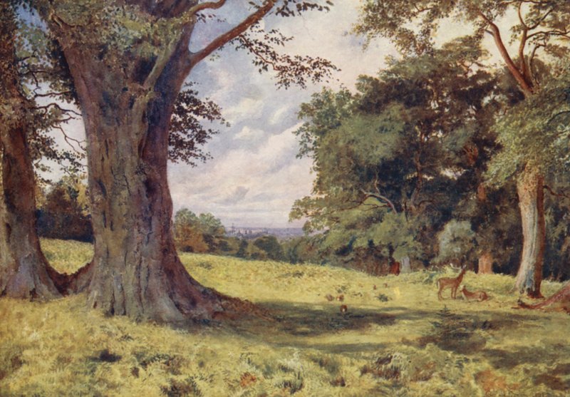 Une clairière dans le parc de Windsor - George Moore Henton